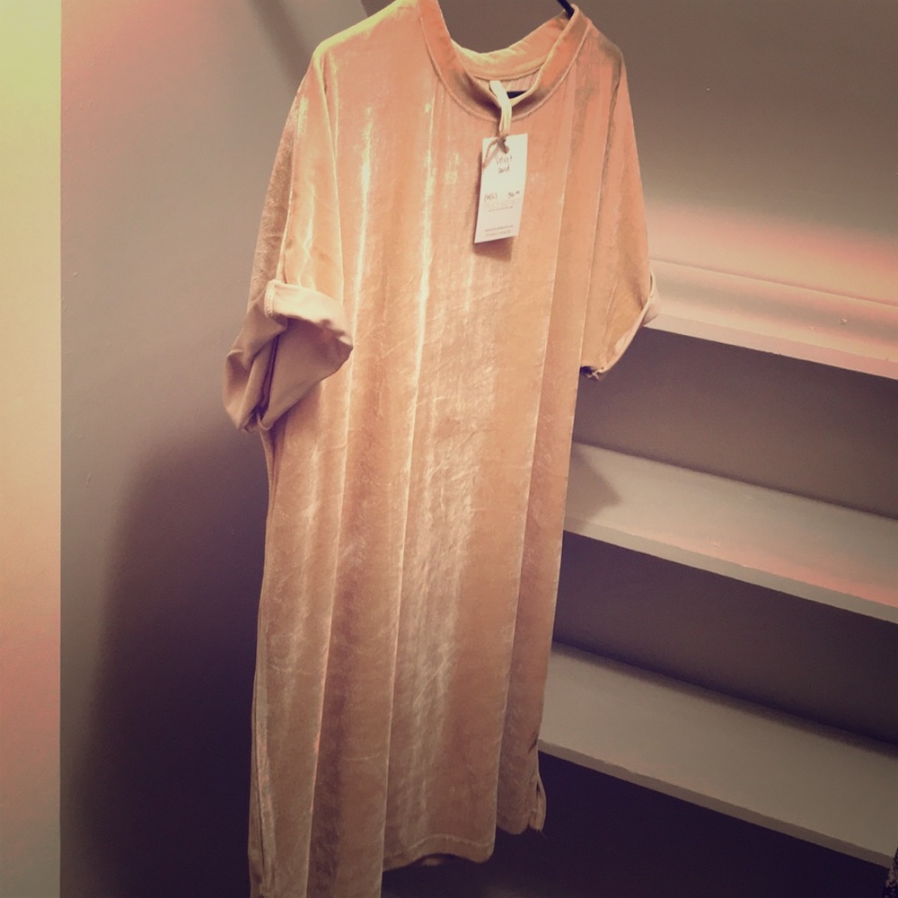 NWT Velvet Champagne Boutique Shift Dress